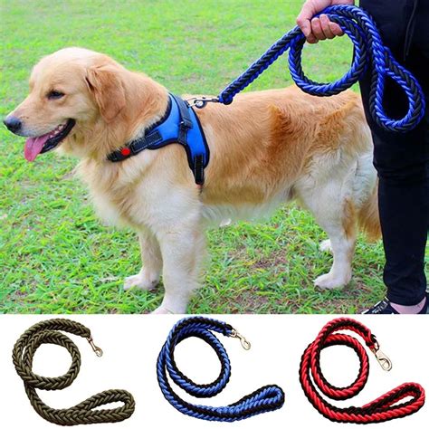 Bring Harmony to Your Household: The Dog Daddy Magic Leash Method